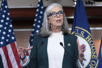 House Minority Whip Rep. Katherine Clark speaks during a news conference. (Jose Luis Magana/AP)